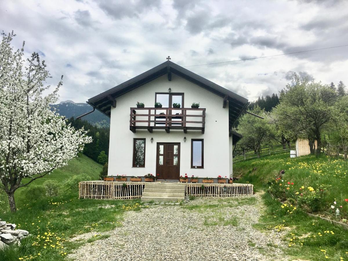 La Casuta Villa Bran  Exterior photo