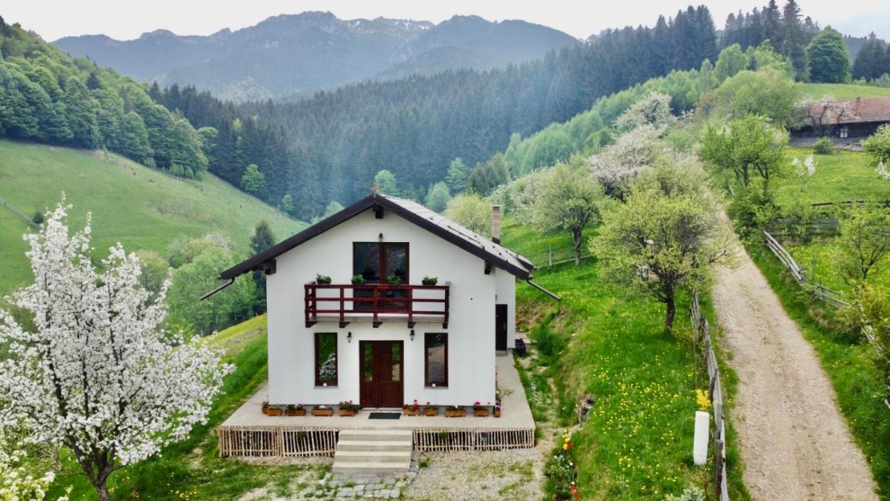 La Casuta Villa Bran  Exterior photo
